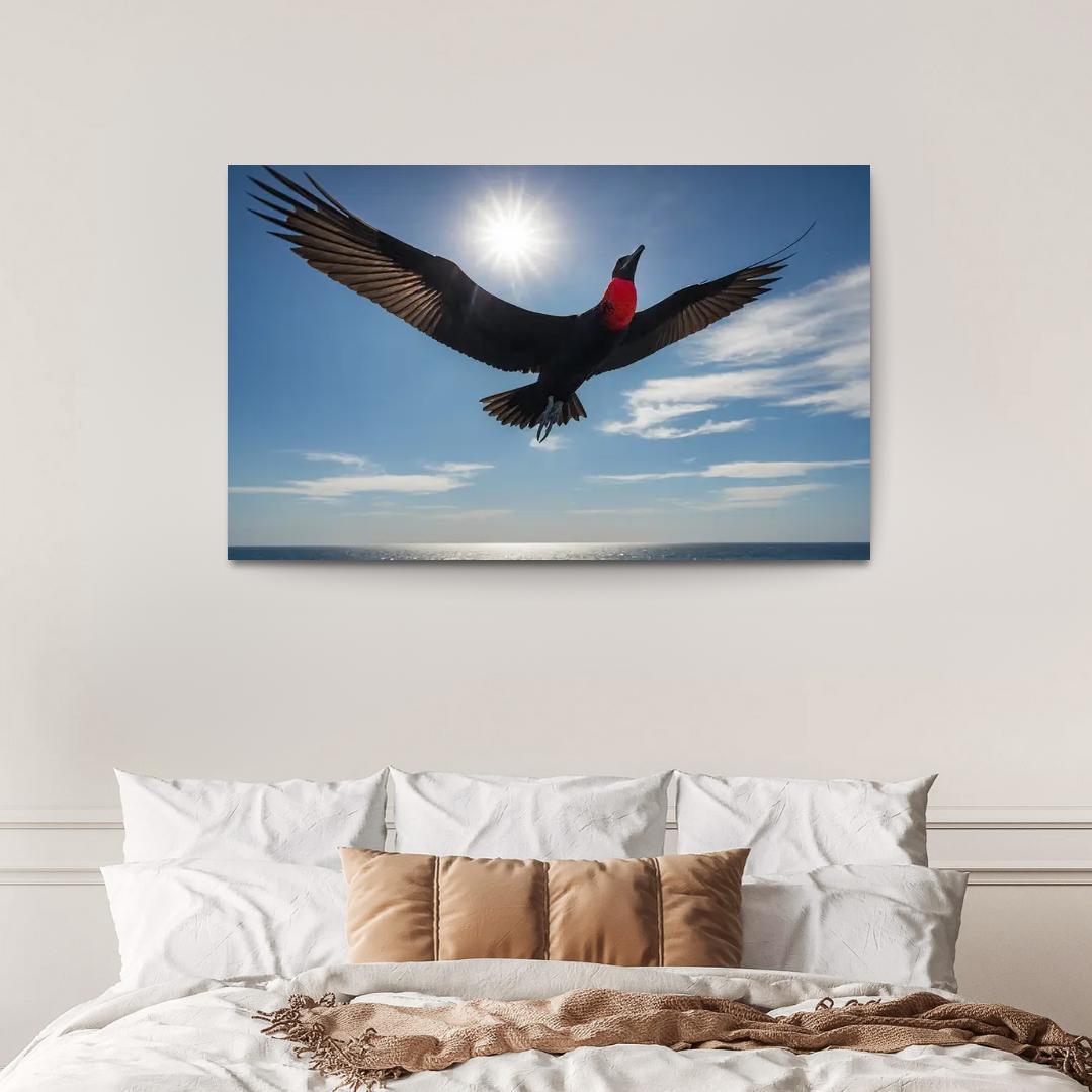 The Majestic Frigatebird The Master Of The Skies Framed Paintings
