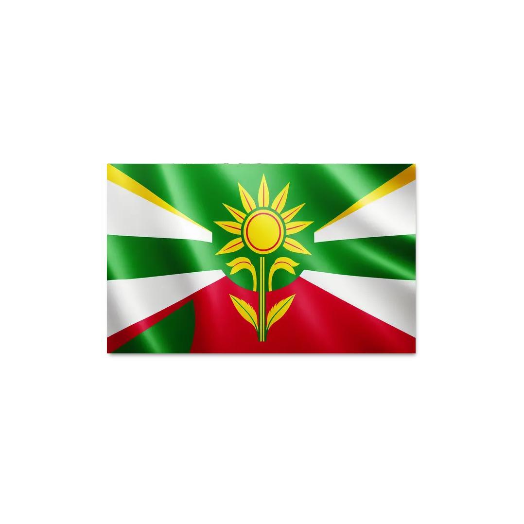 Emblem of Unity The Flag of Guyana 1 Piece HD Canvas Wall Art-Original Frame