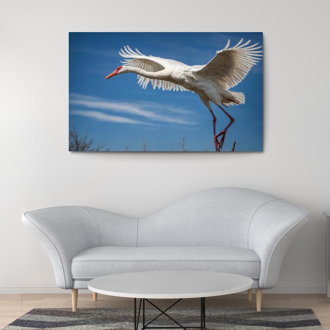 The Majestic Siberian Crane Harbingers Of Change Canvas Paintings Frame