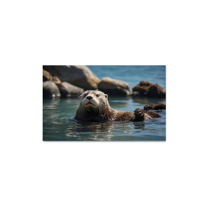 The Playful Sea Otter In Coastal Waters Canvas Paintings Frame