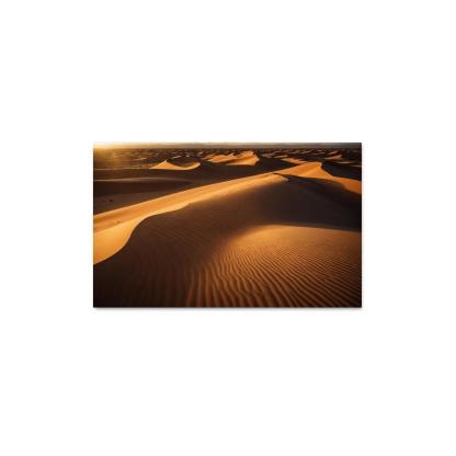 The Golden Sands Of Solstice Dunes Oil Paintings Frame