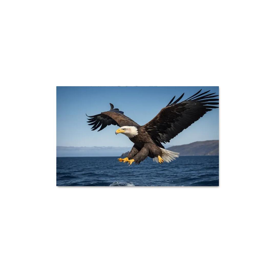 The Majestic Steller's Sea Eagle By The Sea Framed Paintings
