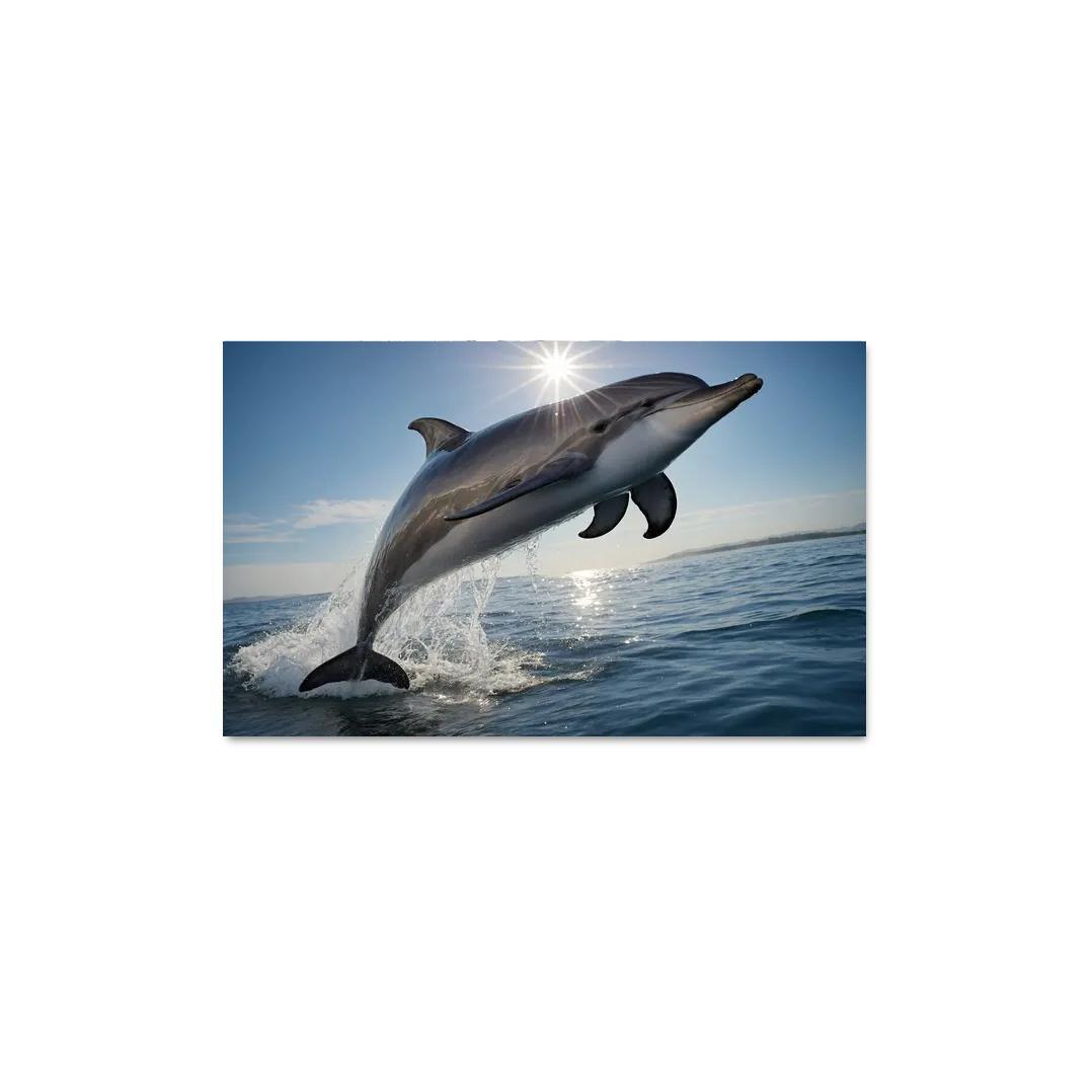 The Playful Bottlenose Dolphin In Coastal Waters Canvas Paintings Frame
