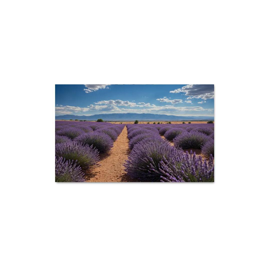 The Tranquil Heights Of Lavender Fields Oil Paintings Frame