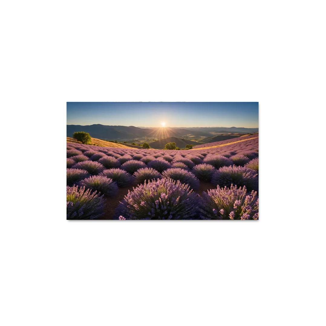 The Serene Valley Of Lavender Blooms Multi-panel Paintings