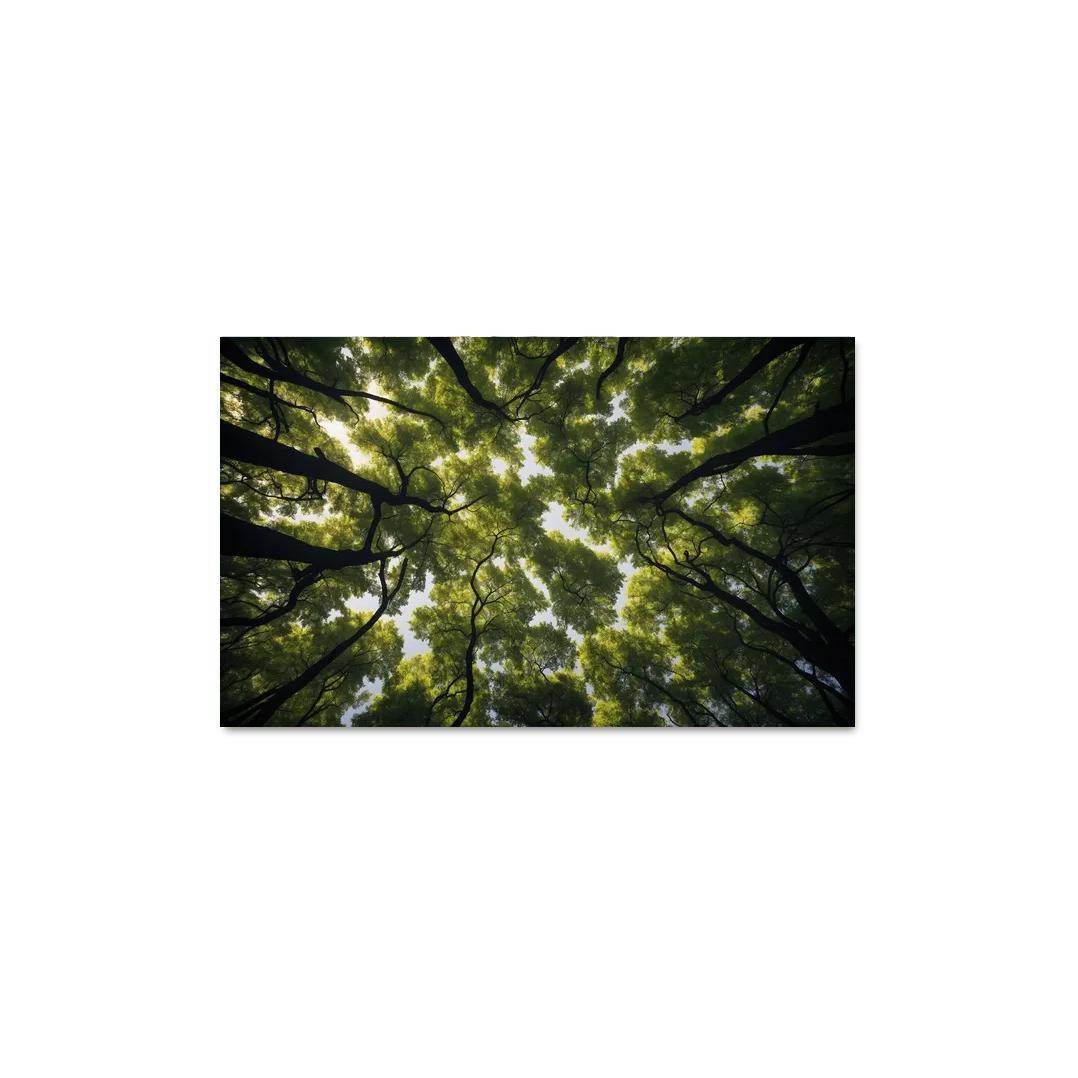 The Ethereal Splendor Of Treetop Canopies Oil Paintings Frame