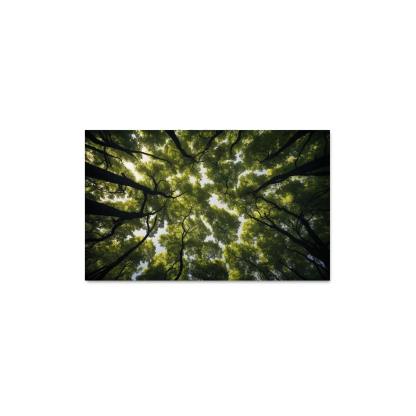 The Ethereal Splendor Of Treetop Canopies Oil Paintings Frame