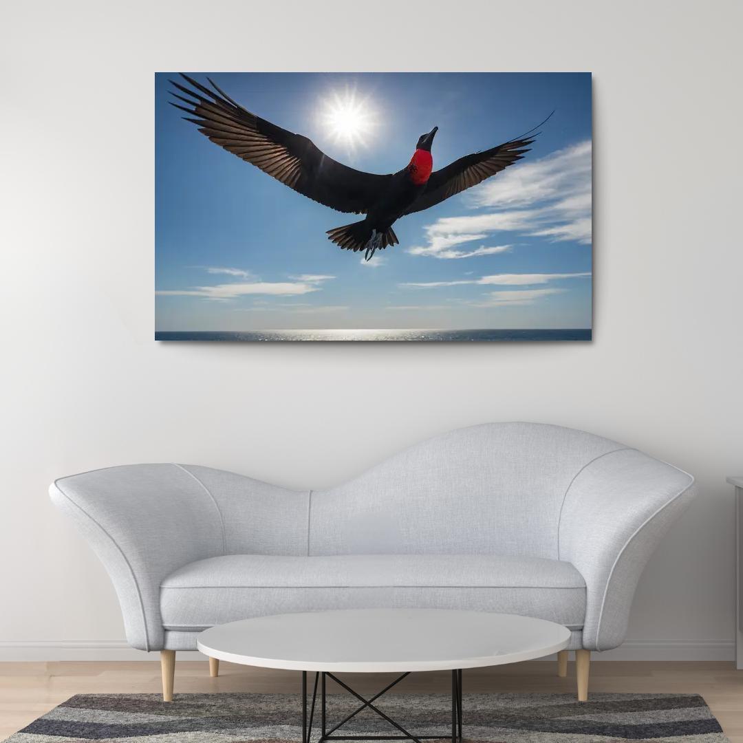 The Majestic Frigatebird The Master Of The Skies Framed Paintings