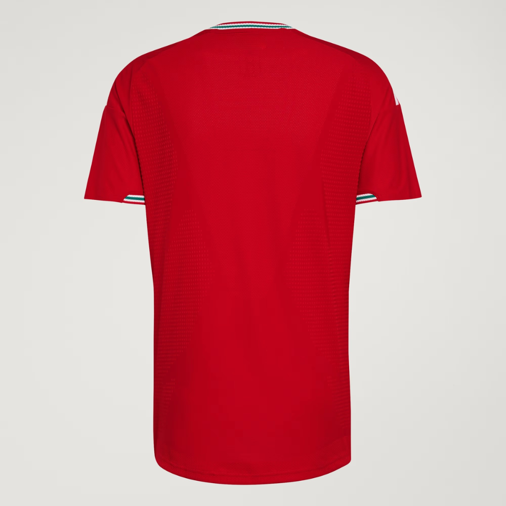 FIFA2026 Wales Authentic Home Football Jersey For Men