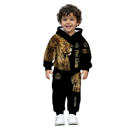 Gradient Style Hooded Sweatshirt Set For Baby Boy