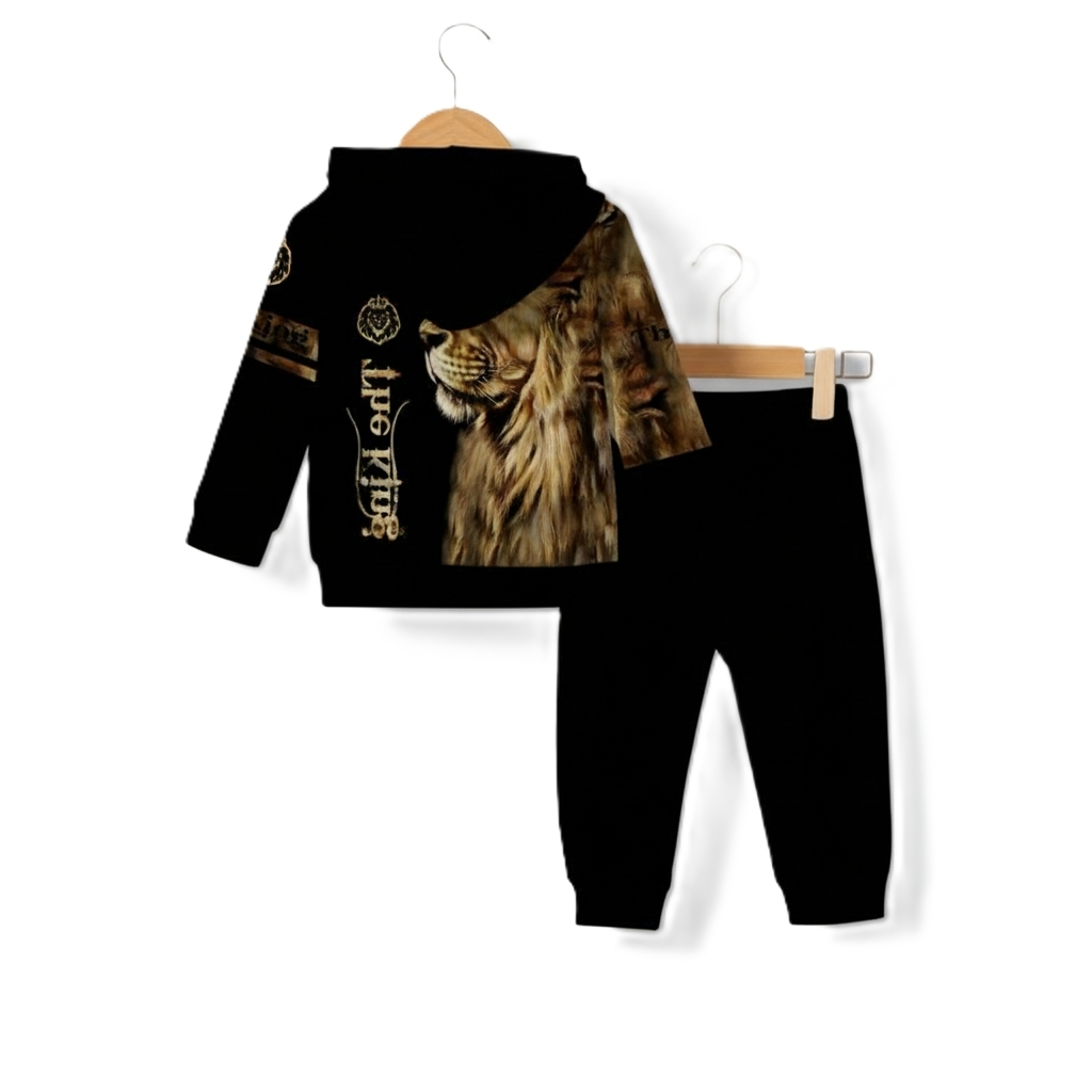 Gradient Style Hooded Sweatshirt Set For Baby Boy