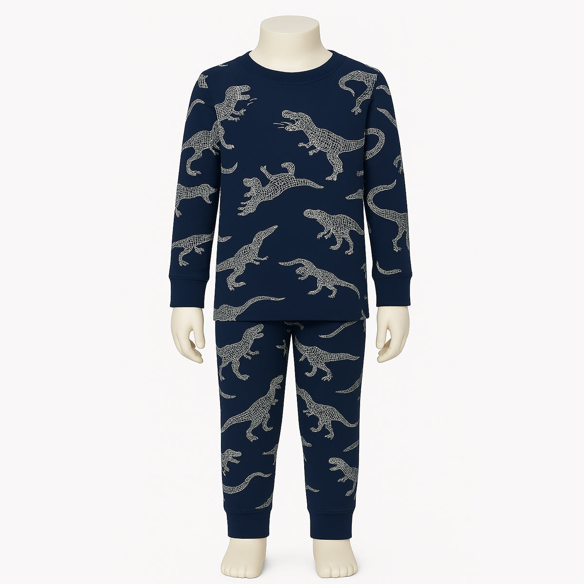 4 Piece Striped And Dinosaur Print Pajamas Sleepwear Set