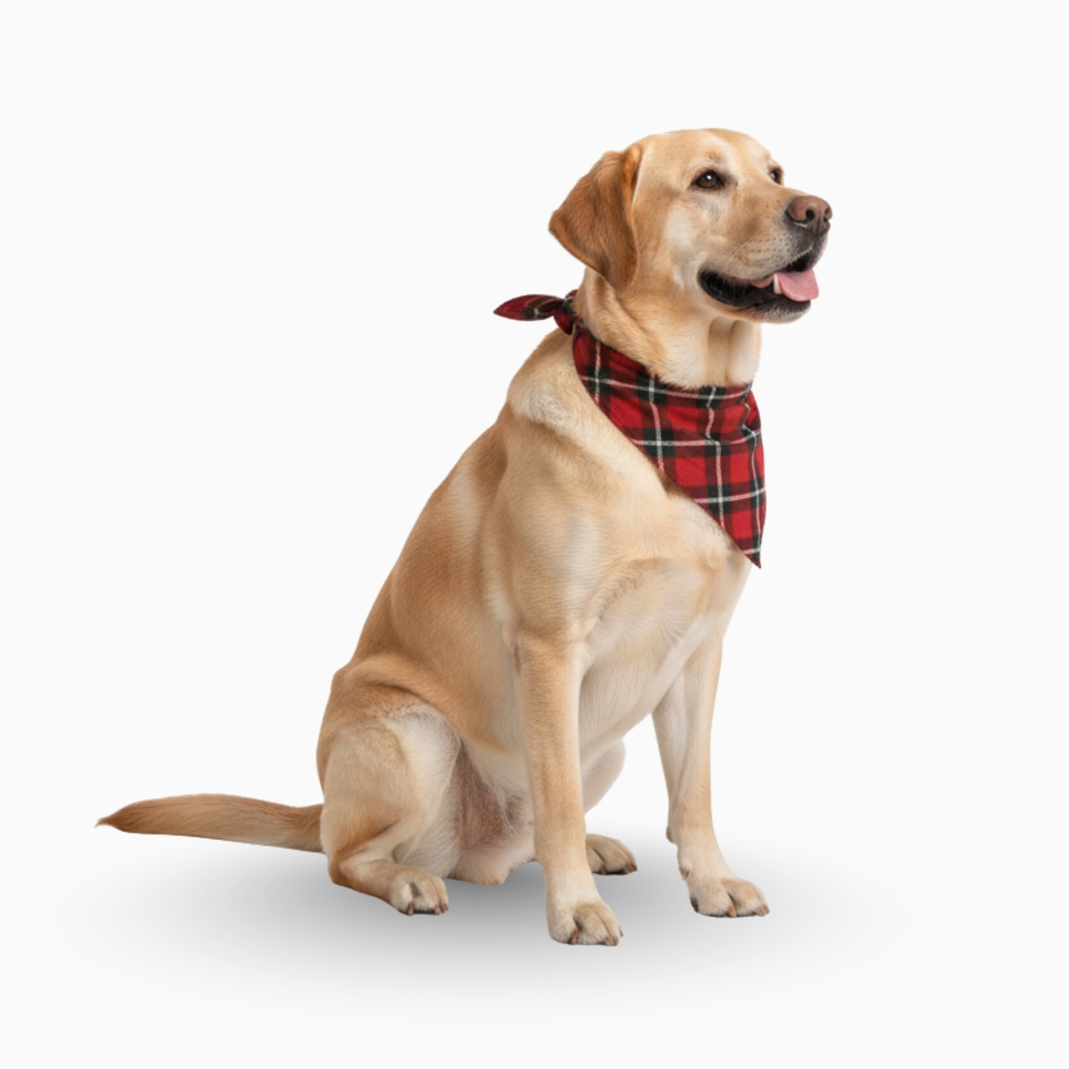 Deer Crew Reindeer Light Printed Plaid Family Matching Christmas Pajama Set