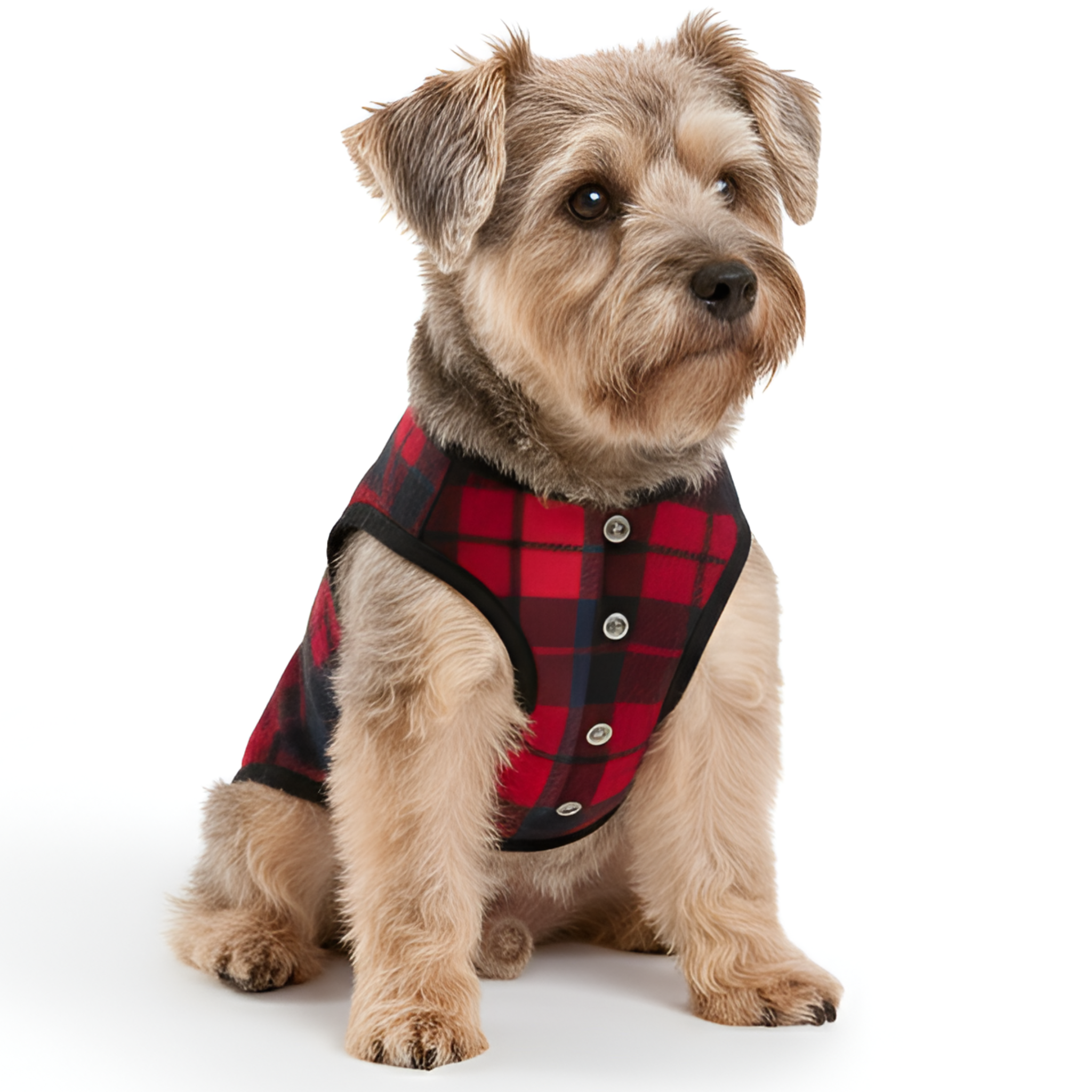 Christmas Reindeer Print Family Matching Pajama Sets