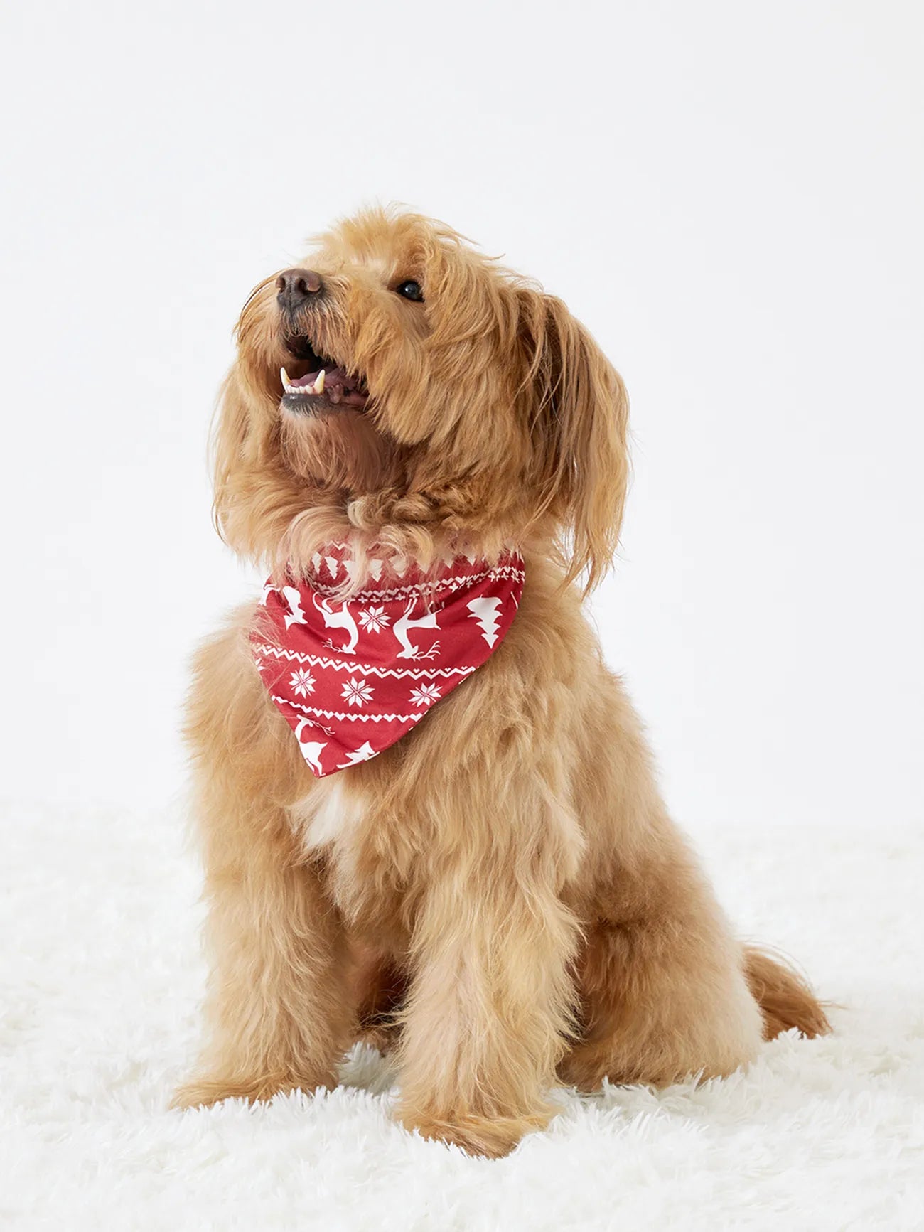 Christmas Reindeer Snowflakes Patterned Family Set-Cozy Knit Sets