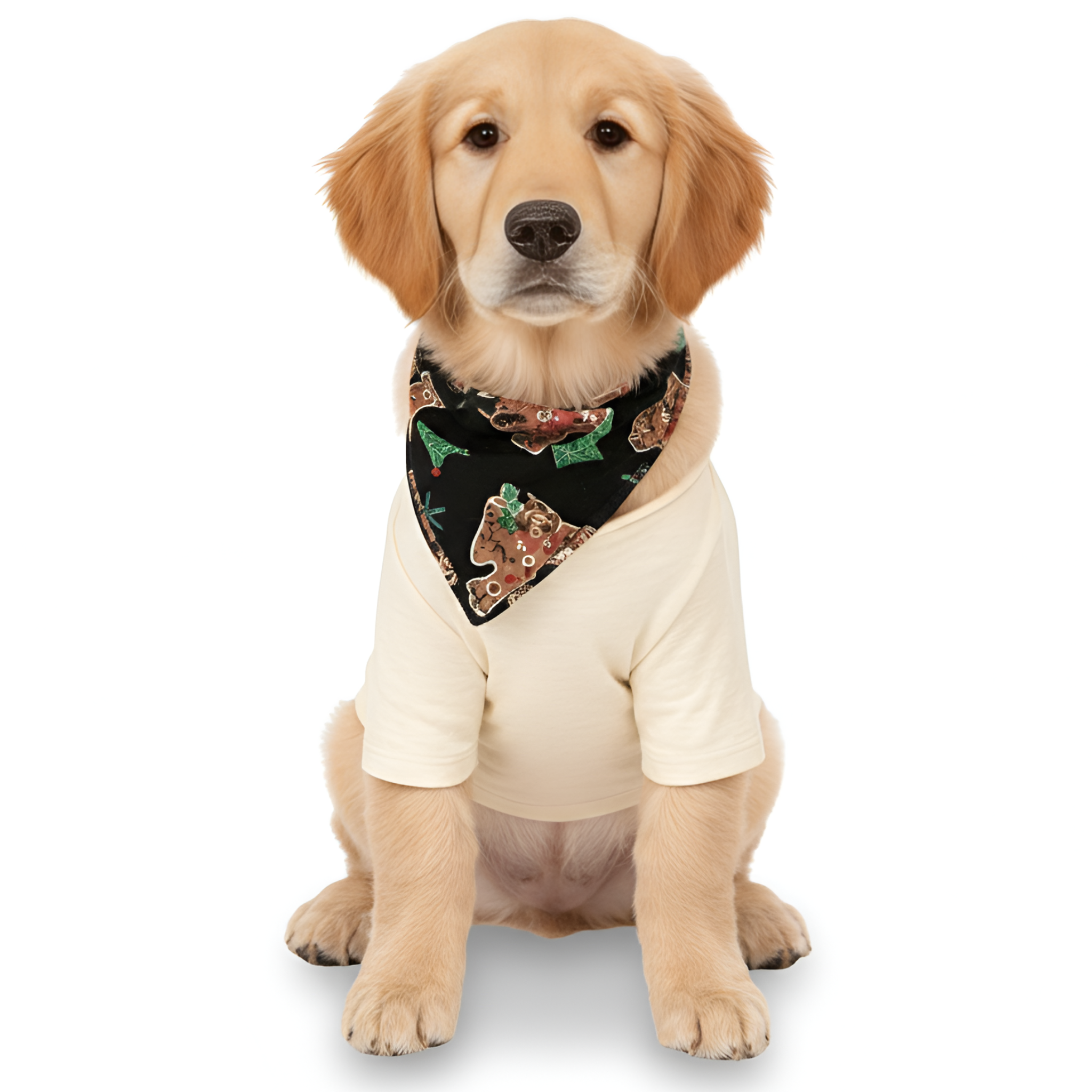 Reindeer Printed Family Matching Pajama Sets