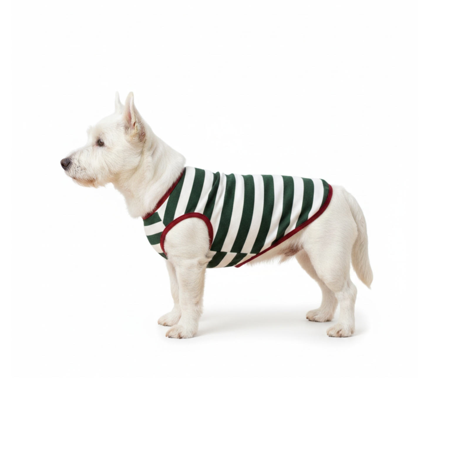 Dear Santa Letter Printed Christmas Family Pajama Set