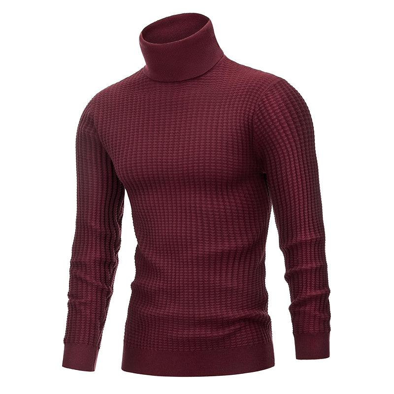 Lion Nardo Turtleneck Sweater Slim Fit Long Sleeve Pullover