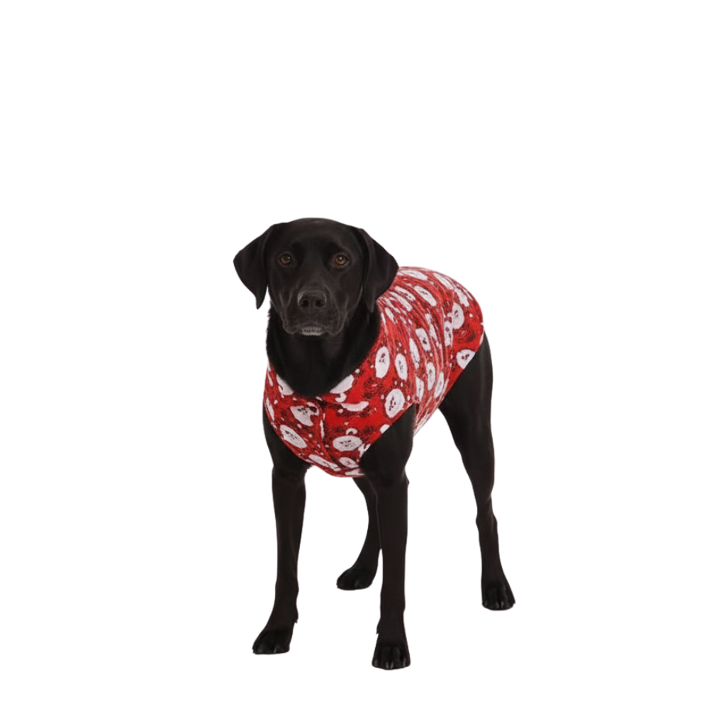 Matching Christmas Pajamas for Family or Couples