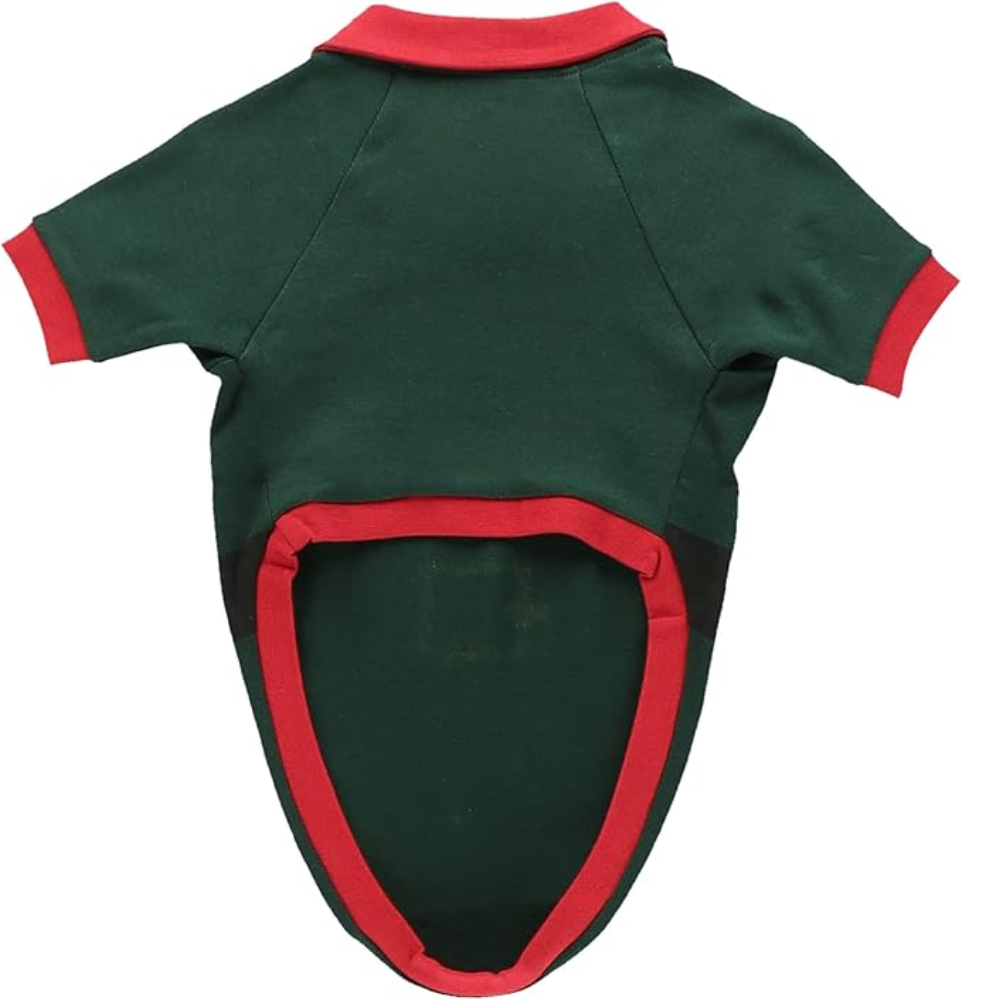 Elf Matching Family Christmas Pajamas Tees and Pants Set