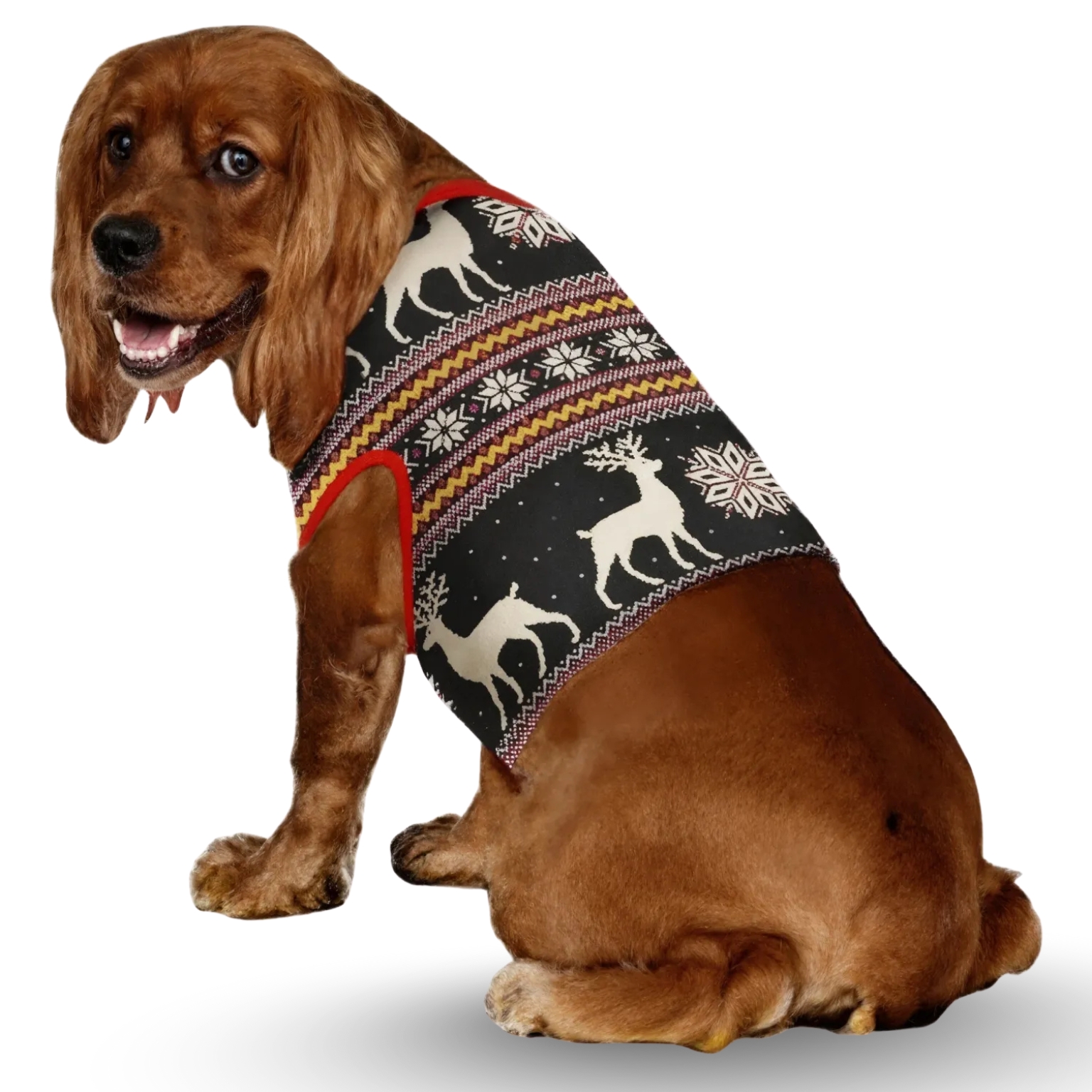 Reindeer And Snowflake Printed Family Matching Christmas Pajama Set