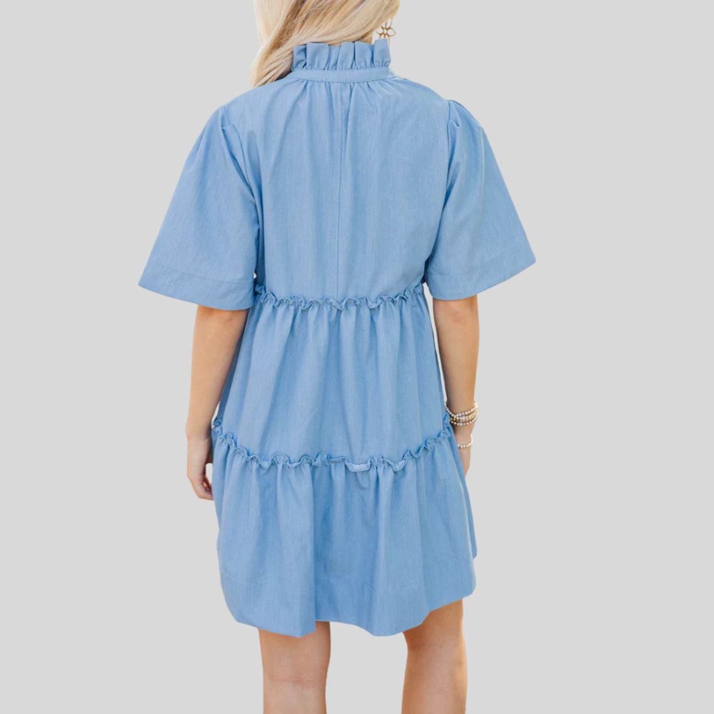 Bow Printed Embroidered Dress For Women