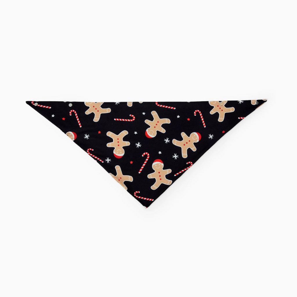 Christmas Gingerbread Print Matching Family Pajama Set With Festive Socks