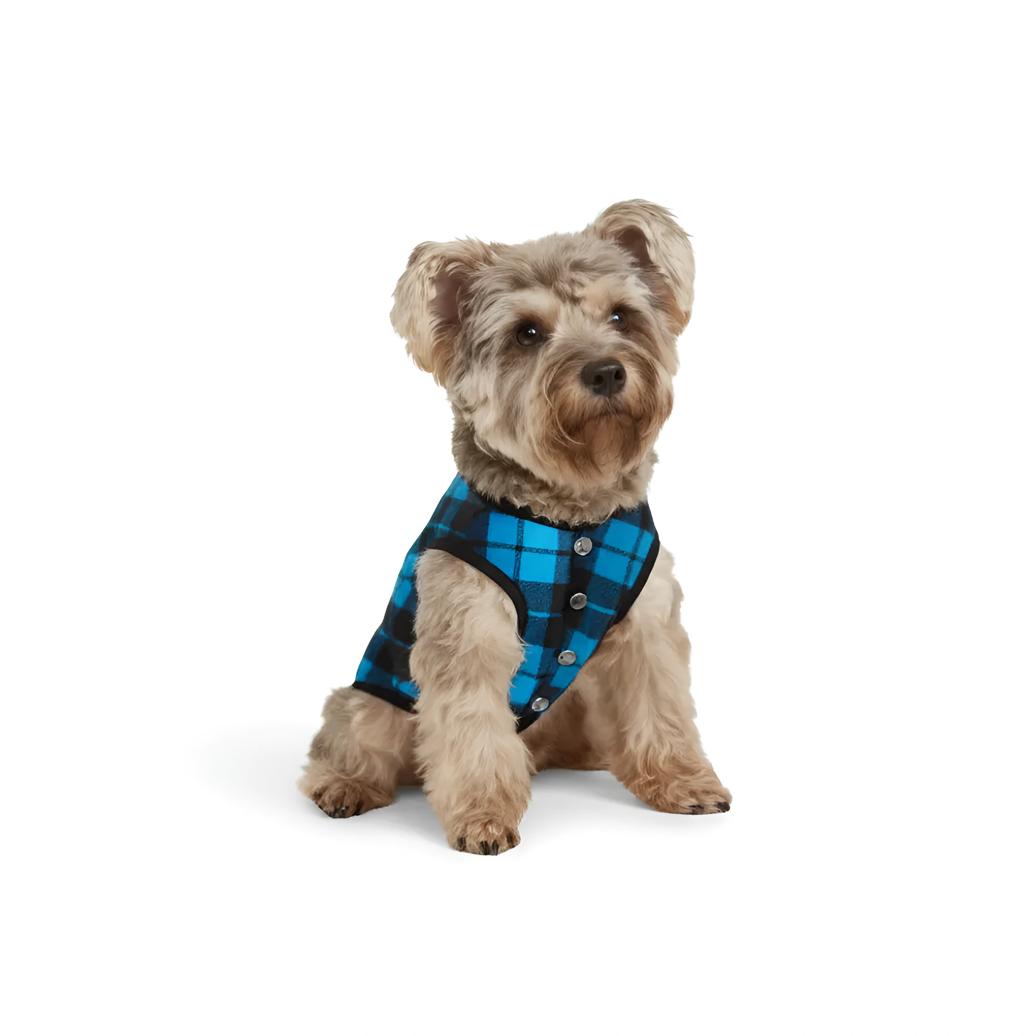 Festive Christmas All Over Print Matching Family Sleepwear Set