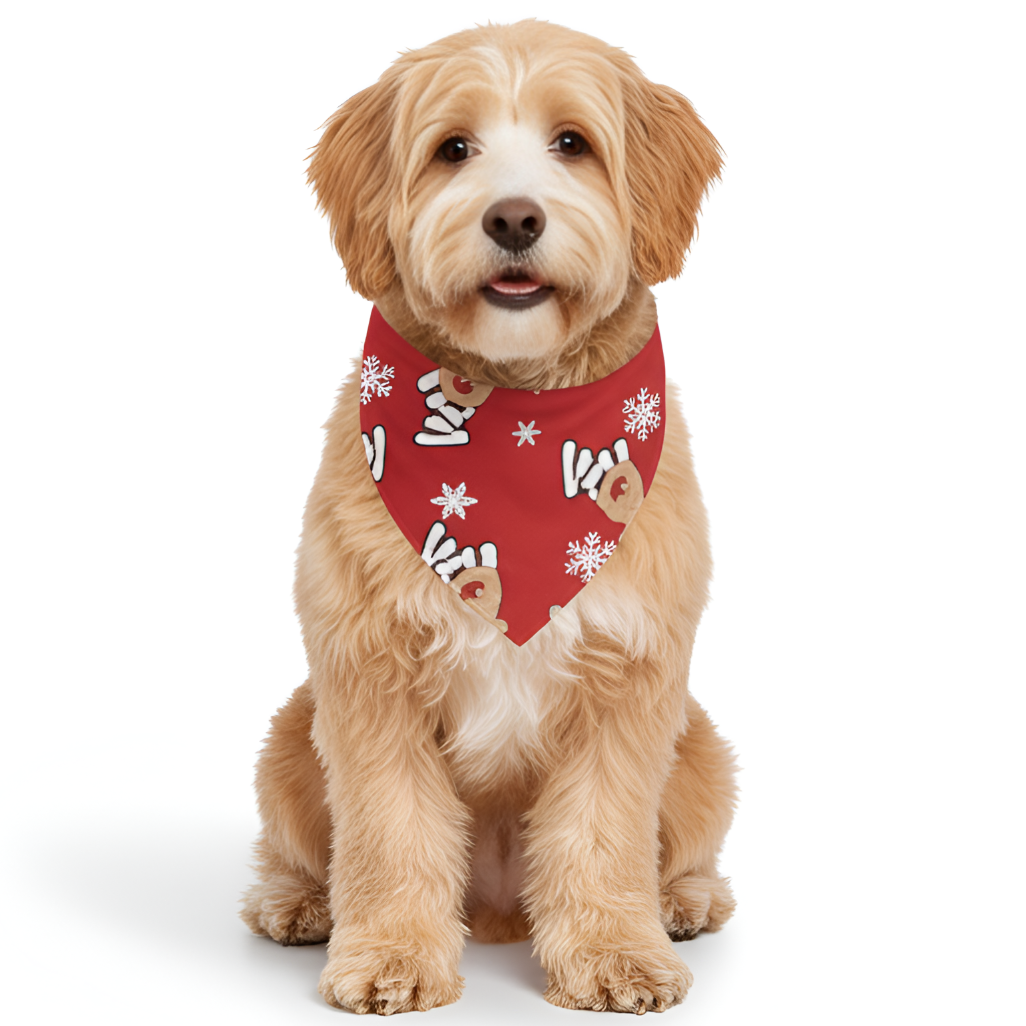 Santa and Reindeer Family Matching Pajama Sets