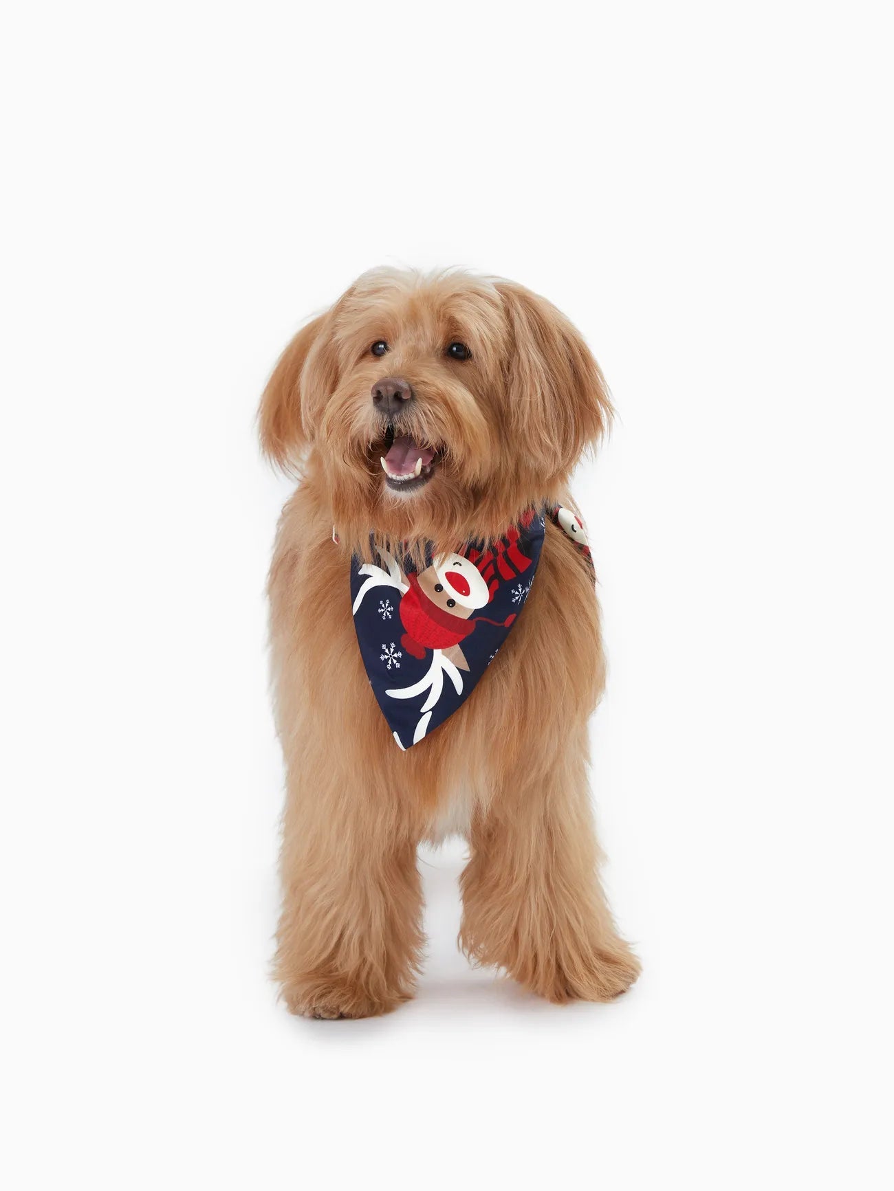 Holiday Cheer Reindeer Family Pajama Set-Original Pajamas