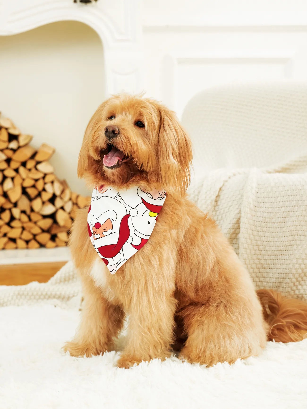 Christmas Pajama With Santa Family Matching Set-Original Pajamas