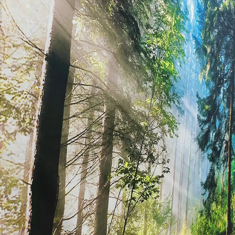 Oversized Landscape Fabric Wall Hanging Woven Forest Tapestry