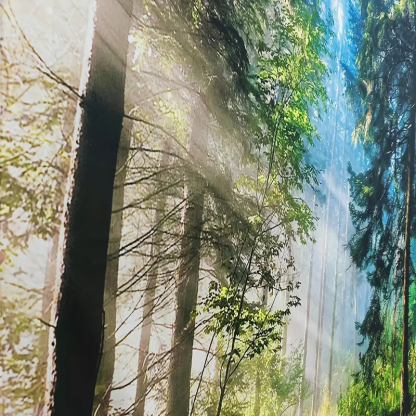 Oversized Landscape Fabric Wall Hanging Woven Forest Tapestry