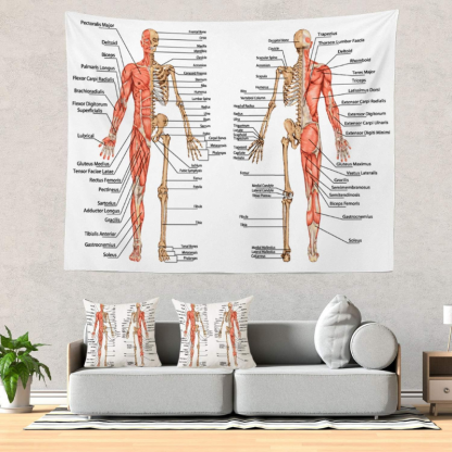 Human Anatomy Educational Design Wall Hanging Tapestry