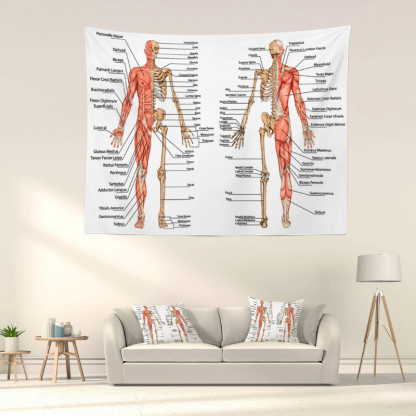 Human Anatomy Educational Design Wall Hanging Tapestry
