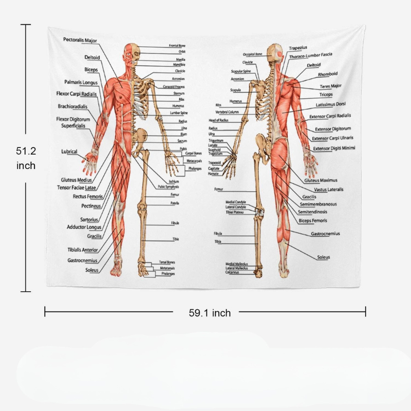 Human Anatomy Educational Design Wall Hanging Tapestry