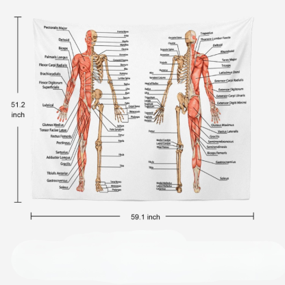 Human Anatomy Educational Design Wall Hanging Tapestry