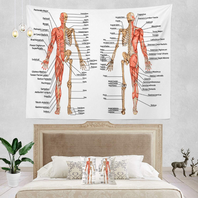 Human Anatomy Educational Design Wall Hanging Tapestry