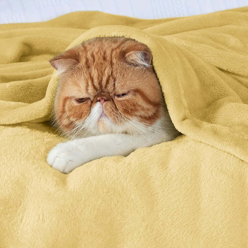 Lightweight Plush Fuzzy Cozy Fleece Bed Blankets