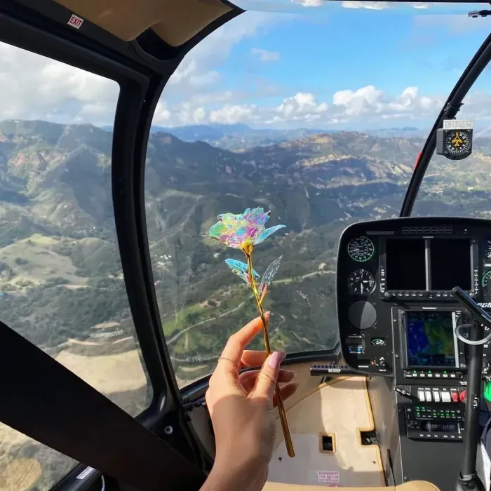 Plated Roses Mothers Day And Valentines Day