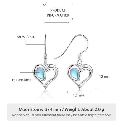 925 Sterling Silver Dangling Earrings-Personalized Jewels