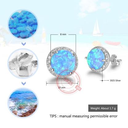 925 Sterling Silver Stud Earrings Classic Stud Earring For Women - Personalized Jewel
