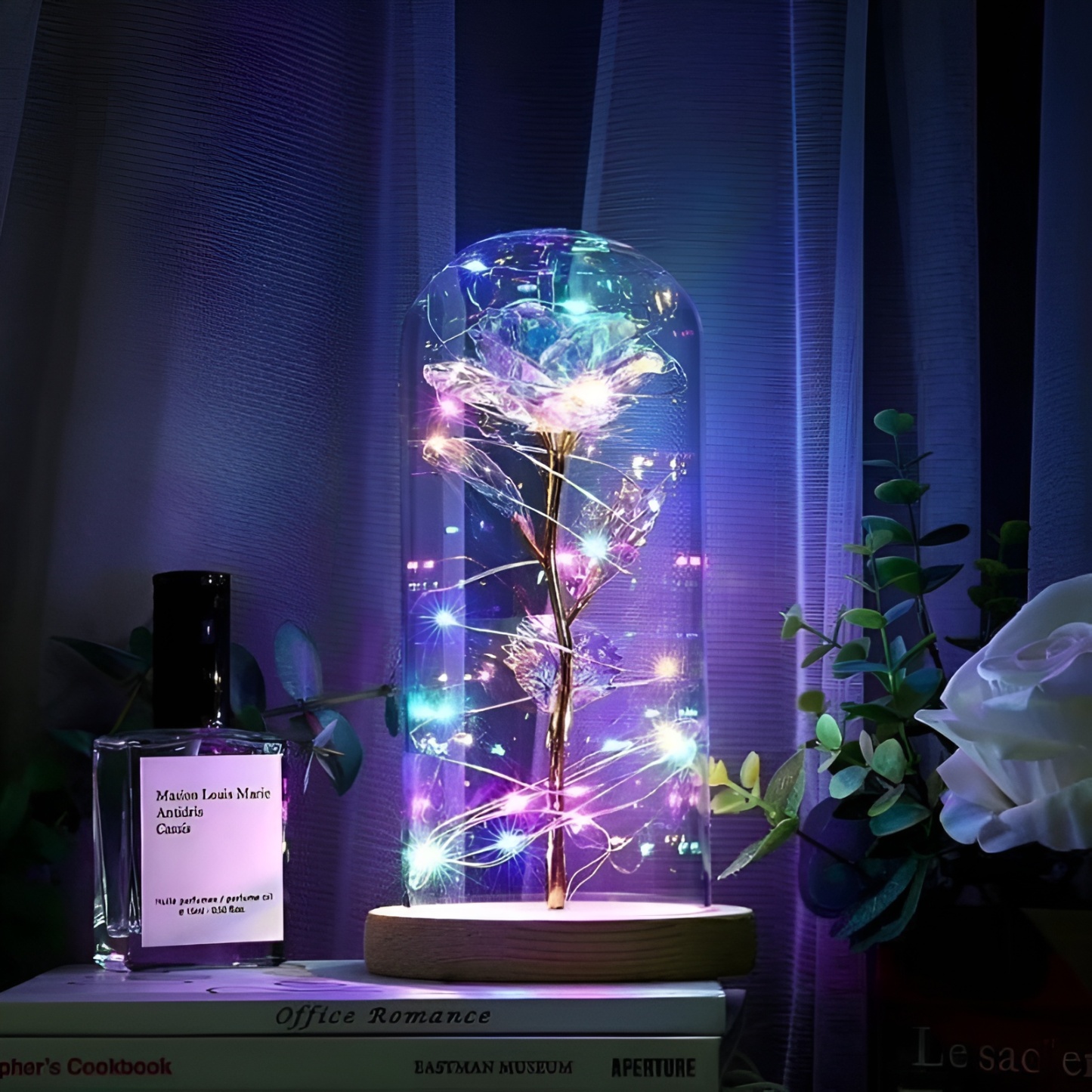 Enchanted Rose With Decorative Glass Dome For Display