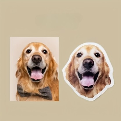 Personalized Acrylic Fridge Magnets with Pet Photos