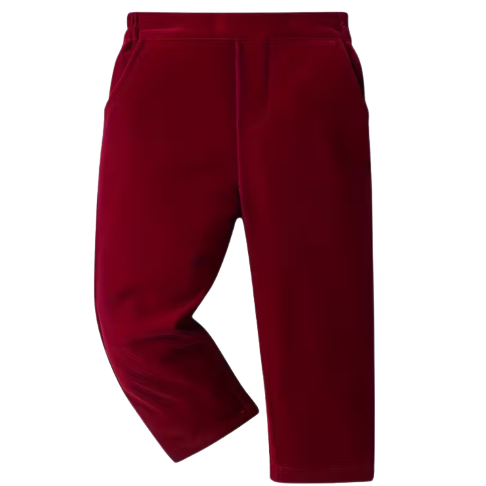 2 Piece Of Velvet Gentleman Suit Jacket With Bow Tie And Pants Set For Baby Boys