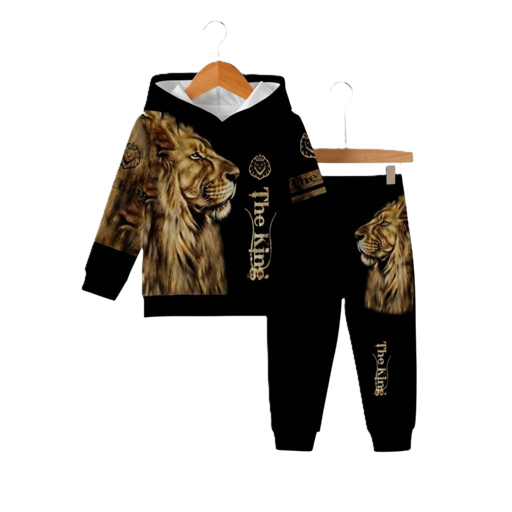 Gradient Style Hooded Sweatshirt Set For Baby Boy