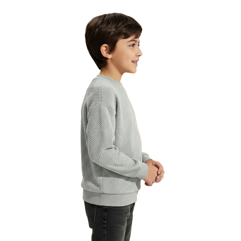 Boys Geometric Pattern Sweatshirts With Long Sleeves 