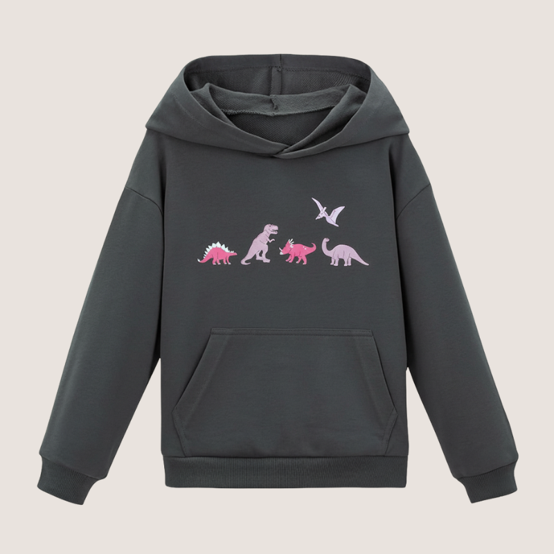 Pullover Sweatshirt Hoodie for Toddler Girls and Kids