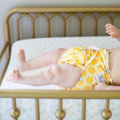 Winter Cloth Pocket Diapers 4 Pack With 4 Bamboo Inserts-Diaper Reusable