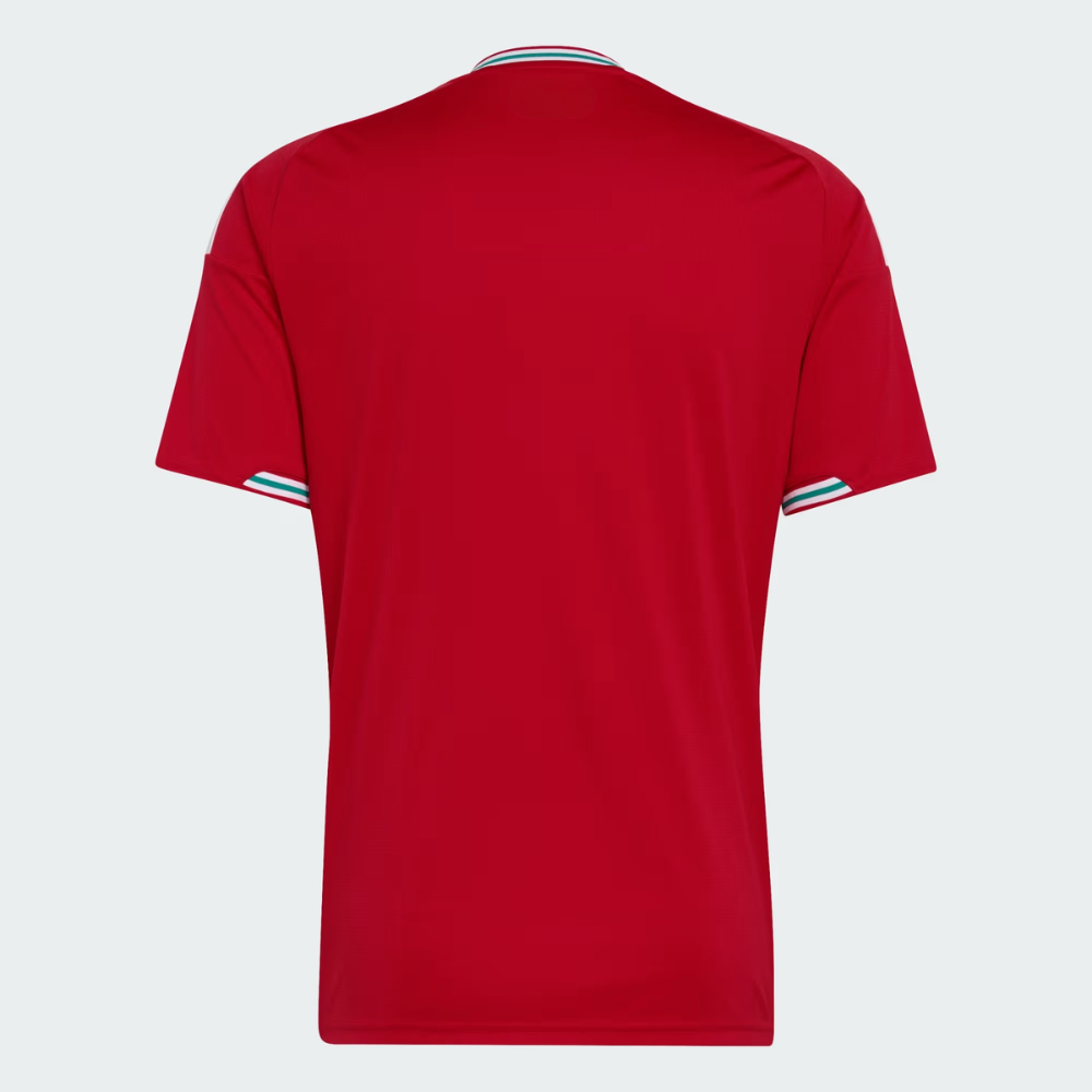 FIFA2026 Wales Authentic Home Football Jersey For Men
